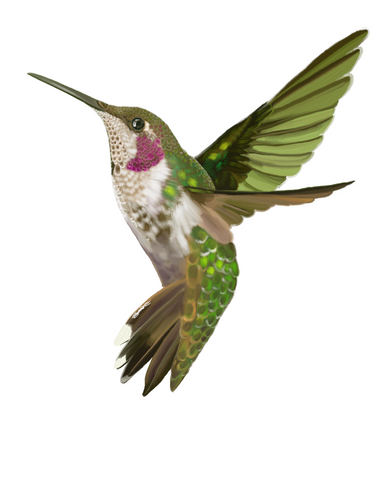 "Humming soul 2" 4"x3" Diameter sticker.